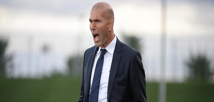 زيدان، زين الدين زيدان